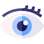 11-Vision Centre Icon